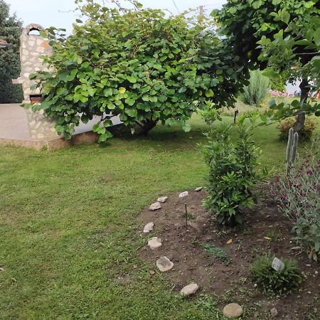 Guesthouse Oasis-Shabla Dış mekan fotoğraf