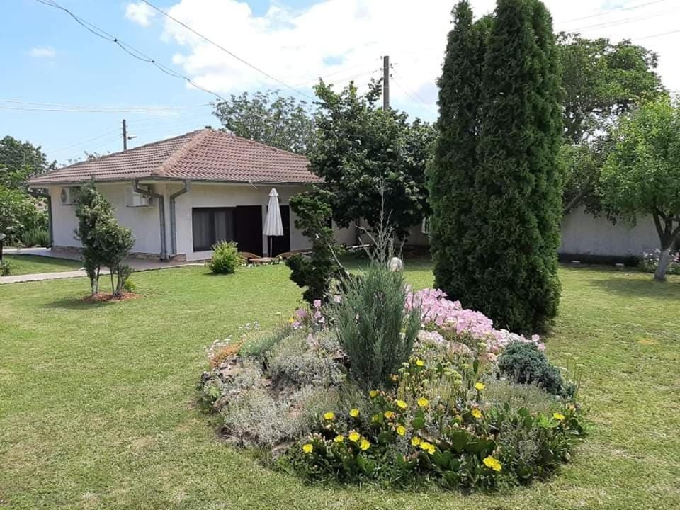 Guesthouse Oasis-Shabla Dış mekan fotoğraf