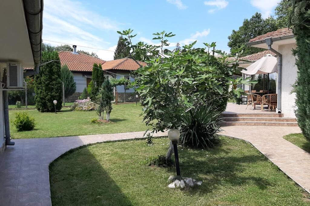 Guesthouse Oasis-Shabla Dış mekan fotoğraf