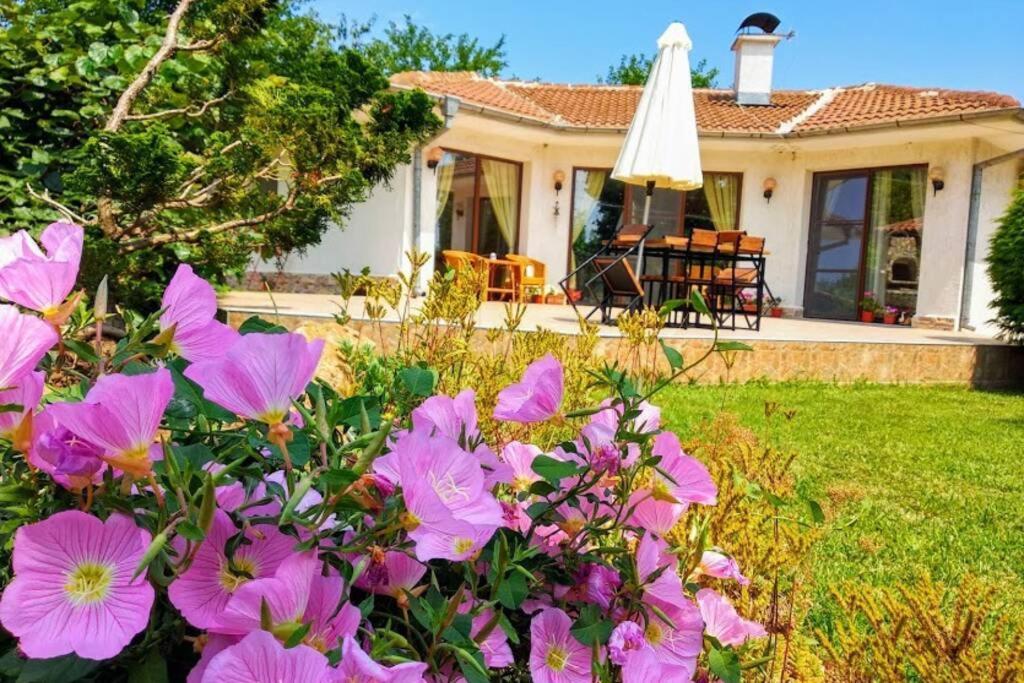 Guesthouse Oasis-Shabla Dış mekan fotoğraf