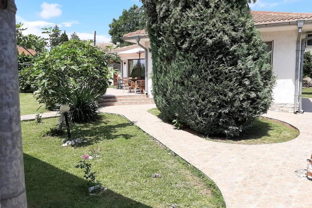 Guesthouse Oasis-Shabla Dış mekan fotoğraf