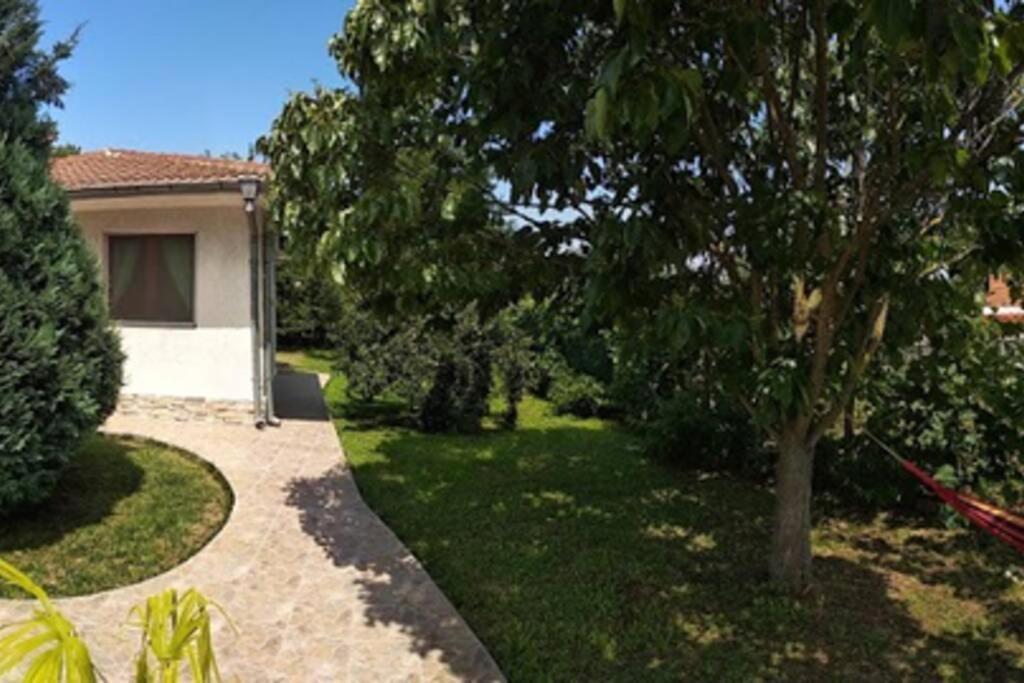 Guesthouse Oasis-Shabla Dış mekan fotoğraf