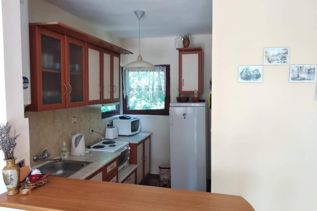 Guesthouse Oasis-Shabla Dış mekan fotoğraf