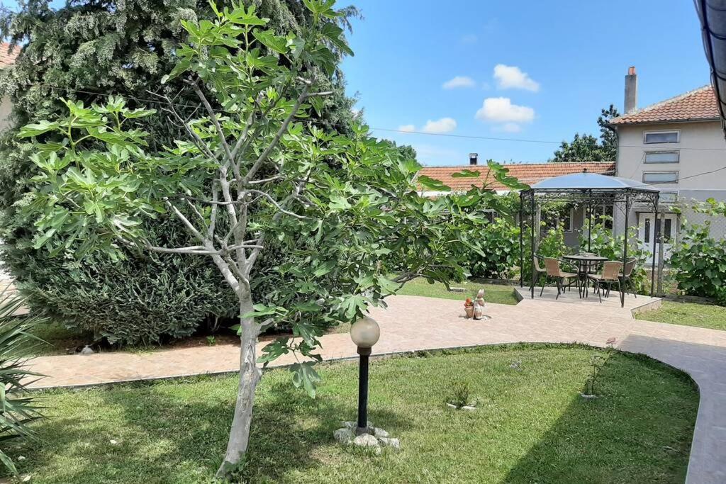 Guesthouse Oasis-Shabla Dış mekan fotoğraf