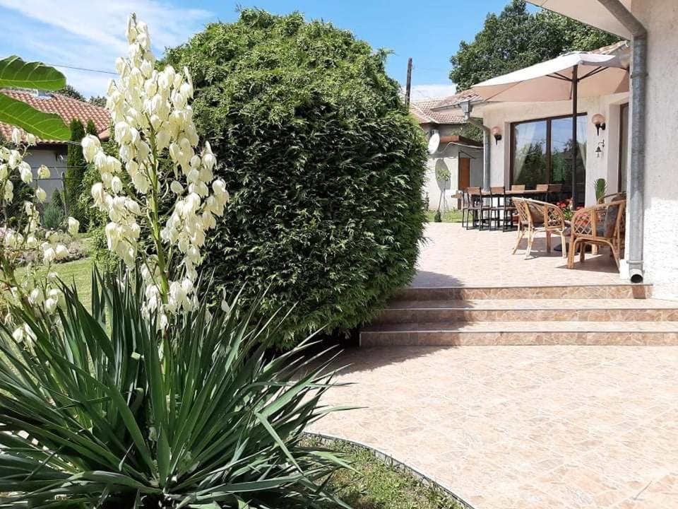 Guesthouse Oasis-Shabla Dış mekan fotoğraf