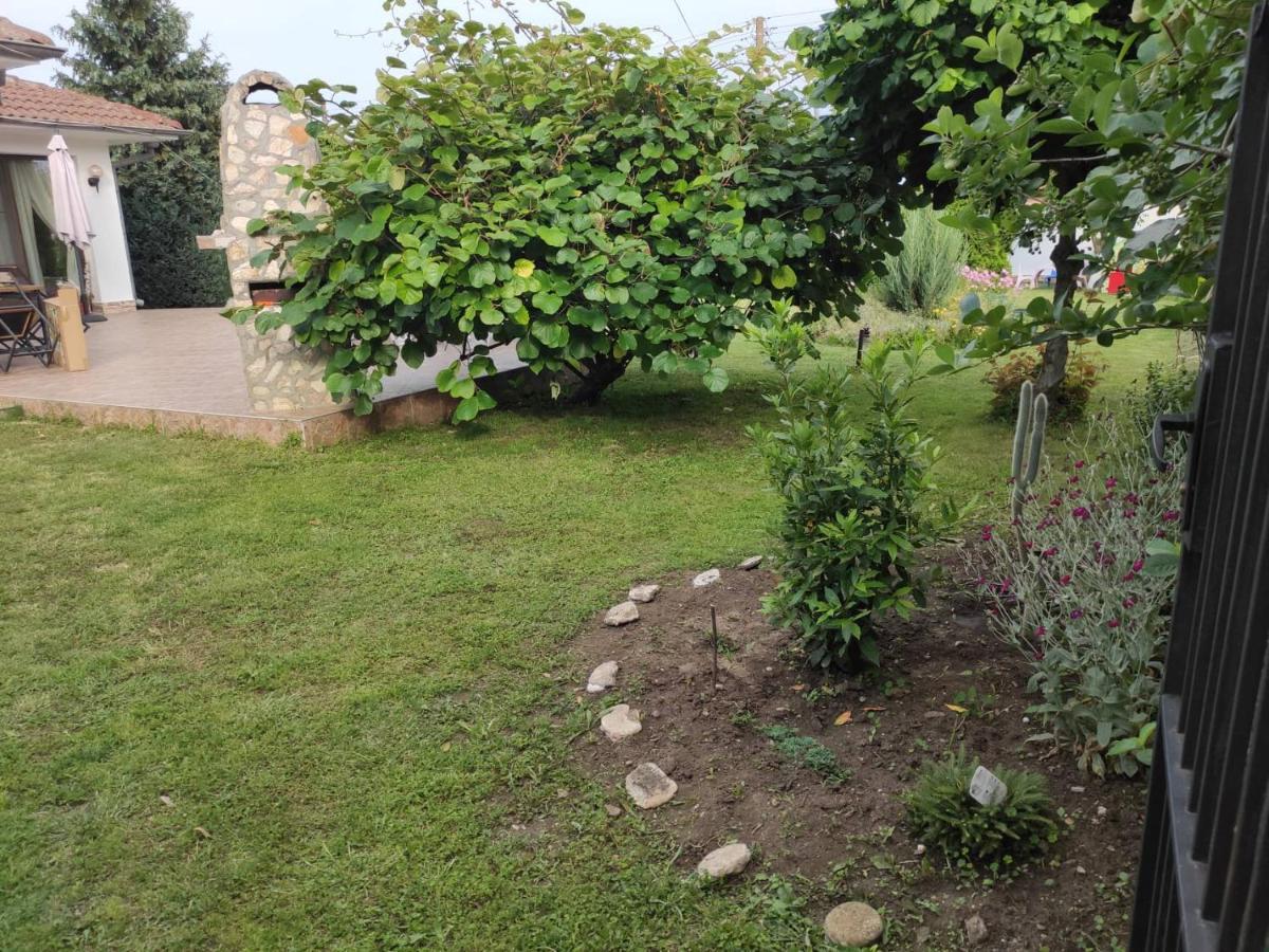 Guesthouse Oasis-Shabla Dış mekan fotoğraf